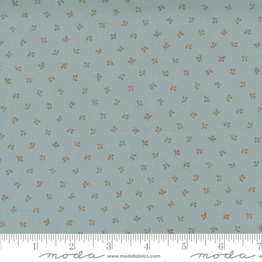 Regency Somerset     Parma Gray