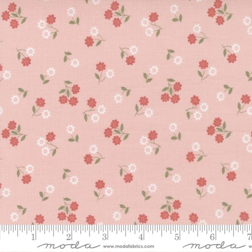 Country Rose Pale Pink